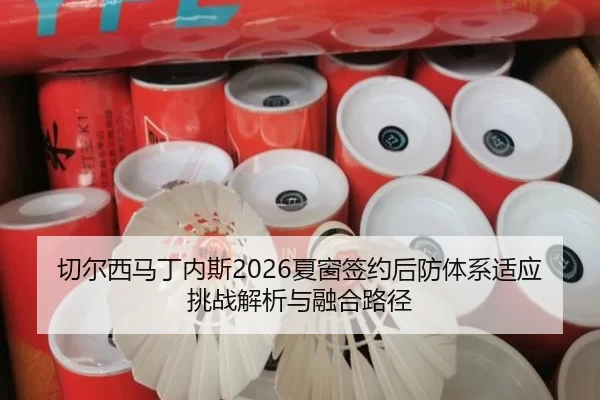 切尔西马丁内斯2026夏窗签约后防体系适应挑战解析与融合路径
